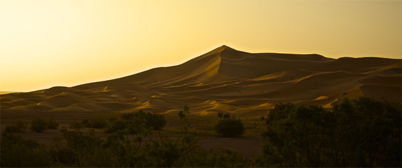 sahara-1